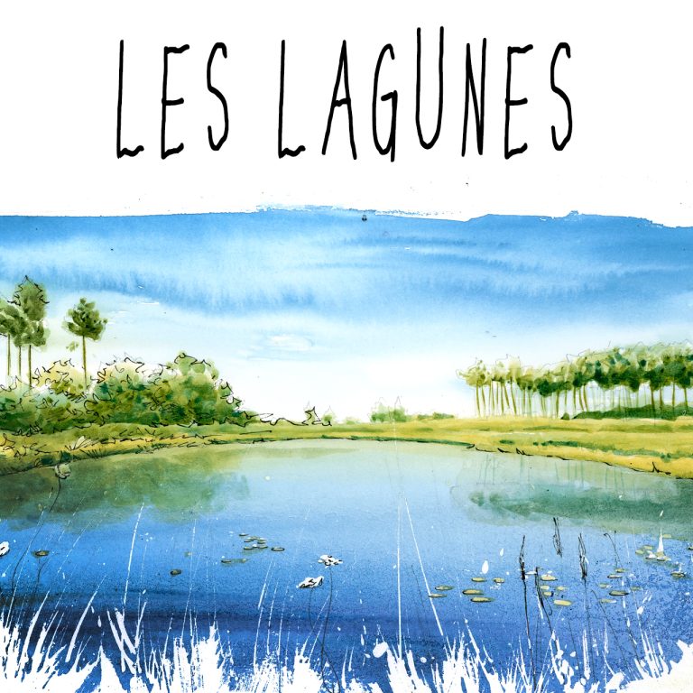 dessin de lagune-milieux naturel