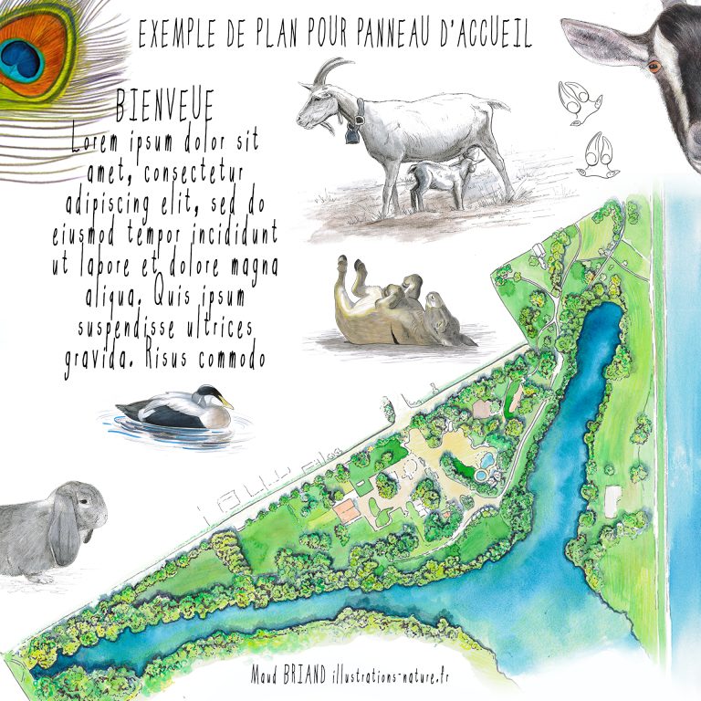 plans-parc-jardins-Maud BRIAND illustrations nature