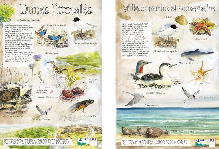 Poster pour les sites Natura 2000 réalisé par maud briand