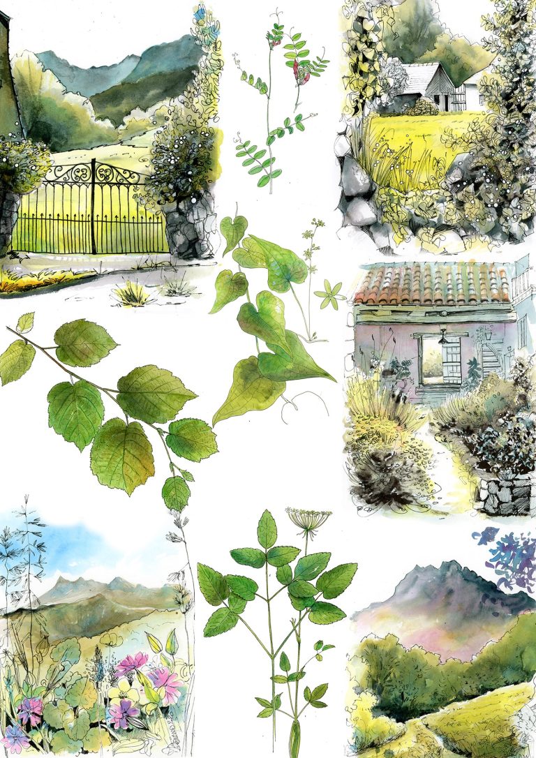 dessins de montagnes et de plantes