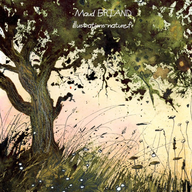 aquarelle poétique d'un arbre -Maud BRIAND ILLUSTRATRICE