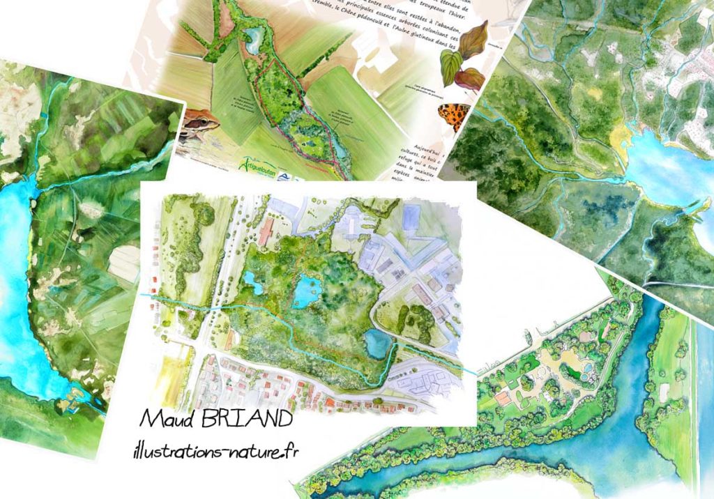 Cartographie et plan-milieux-naturels-maud briand illustratrice