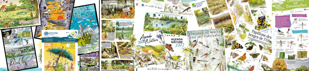 Affiches Posters Brochures et outils pédagogiques faune flore et nature