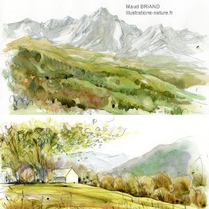 croquis naturalistes de paysage des Pyrénées _ Maud BRIAND illustratrice