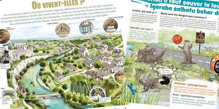 Illustrations des sites naturel de chauves souris
